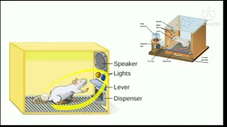 Operant conditioning theory of learning in Hindi