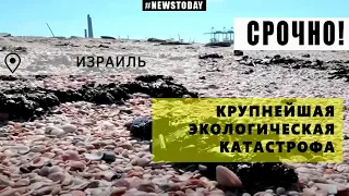 САМАЯ КРУПНАЯ ЭКОЛОГИЧЕСКАЯ КАТАСТРОФА | ТОННЫ МАЗУТА ВЫБРОСИЛО НА ПОБЕРЕЖЬЕ ИЗРАИЛЯ