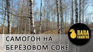 Самогон на березовом соке - два способа приготовления