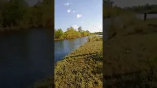 Вываживание ленка на реке Читинка, сентябрь 2021г.