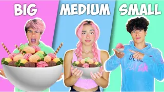 Big VS Medium VS Small Food Challenge!!!