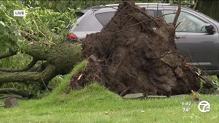 Strong storms leave a mess in Livonia