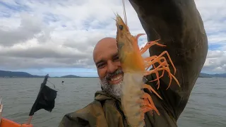 CAMARÃO GIGANTE