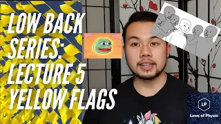 Do you have yellow flags? Lecture 5 of Low Back Series