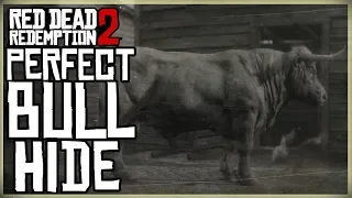 HOW TO GET A PERFECT BULL HIDE - RED DEAD REDEMPTION 2 PRISTINE ANGUS BULL HUNT