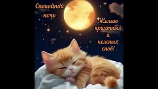 Спокойной ночи 🌙 Сладких и нежных снов 🌸🌸🌸