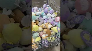 squishmallow hunting at five below easter squish!