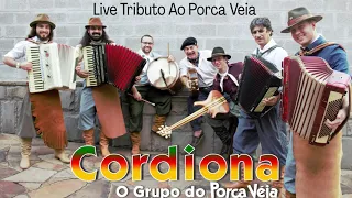 GRUPO CORDIONA - MARCA BORRADA (LIVE/TRIBUTO AO PORCA VÉIA)