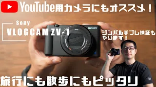 旅行に散歩に大活躍間違いなしのコンデジ SONY VLOGCAM ZV-1 を紹介 ジンバルでの手ブレ検証もやります！