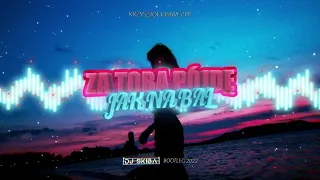 Krzysztof Krawczyk - Za Tobą Pójdę Jak Na Bal (DJ SKIBA BOOTLEG 2022)