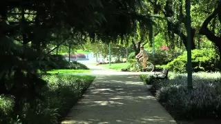 Imagine Washington, DC  Without Trees