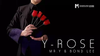 Y Rose by Mr. Y & Bond Lee