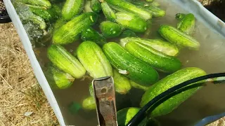 DIY bulk vegetable washer