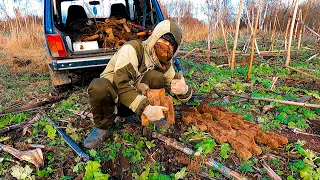 ТРАКТОРНАЯ МАСТЕРСКАЯ С ТОННАМИ МЕТАЛЛА!ГДЕ КОПАТЬ МЕТАЛ?СЕКРЕТЫ КОПА МЕТАЛЛОЛОМА