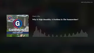 Why Is High Humidity A Problem In The Summertime?