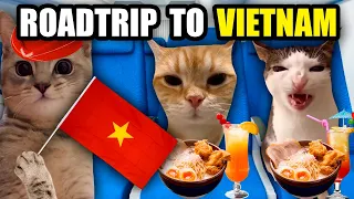 Cat Memes Family Roadtrip to Vietnam