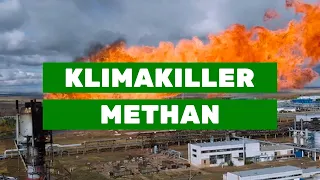 Methan - Der Killer für unser Klima! | Jutta Paulus
