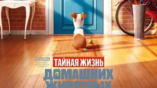 Movie to go. Тайная жизнь домашних животных . Обзор ( The Secret Life of Pets )