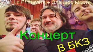 «Чёрная кошка Белый кот» | Эмир Кустурица | Музыка Кино