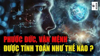 Cuộc sống được tính toán như thế nào? - Vạn vật giác ngộ