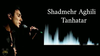 Shadmehr Aghili - Tanhatar (Built with artificial intelligence)