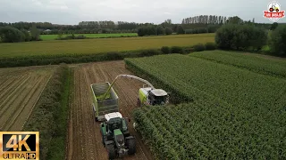 part 3  Cornharvest 2023 Jennissen Claas jaguar 950 + 750 orbis + 4 fendt + kaweco +dronefootage