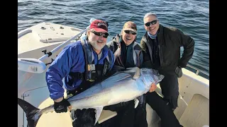 Bluefin Tuna near Atlantic Beach, North Carolina (November 11, 2019)