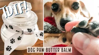 TDIF! Dog Paw Butter Balm