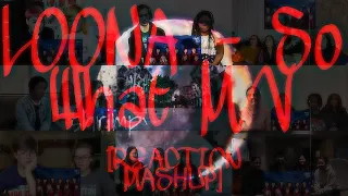 [MV] 이달의 소녀 (LOONA) So What – REACTION MASHUP