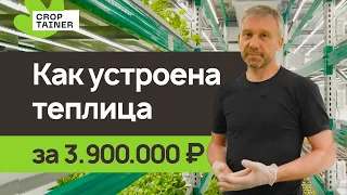 Экскурсия по вертикальной ферме в контейнере! 14 квадратных метров современных технологий