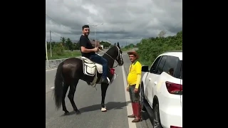 Preço da Gasolina - Mano Walter Destrocou e pegou Cavalo de Volta ...