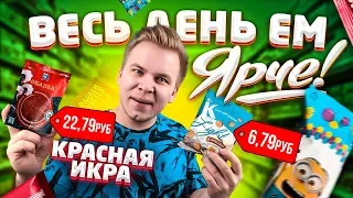 Весь день ем продукты ЯРЧЕ / Бомж обед для мажоров / Теперь я знаю где закупаться на Новый Год