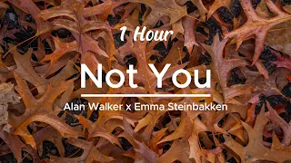 Not You - Alan Walker ft Emma Steinbakken (Lyrics) | 1 Hour