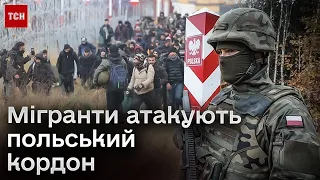 ⚡ Жбурляють каміння та виламують паркан! Мігранти атакували польський кордон з боку Білорусі