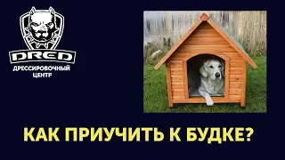 Как приучить собаку к будке?Научить жить в будке!