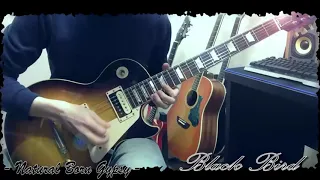 Alter Bridge - Blackbird Guitar solo part cover