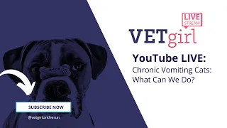 October 4, 2022: YouTube Live: Chronic Vomiting Cats: What Can We Do?