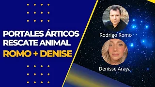 PORTALES ÁRTICOS - RESCATE ANIMAL / RODRIGO ROMO + DENISE