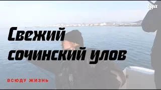 Рыбалка в Черном море недалеко от Имеретинской бухты в Сочи