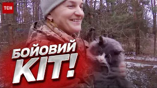 🐱❤️ Повз такого не пройдуть! Кордон із Білоруссю захищає бойовий кіт