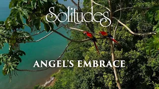 Dan Gibson’s Solitudes - Celestial Wings | Angel's Embrace