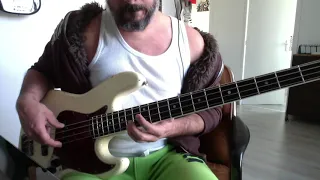 Red Hot Chili Peppers - Can't Stop-Bass Cover - Jazz Bass 1966 Bravewood Replica