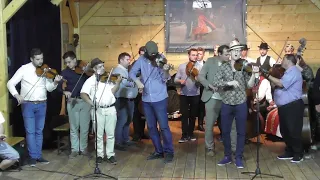 Tokos, Veszélyes banda (Méra Gipsy Band), Erdőfű, Kalotaszegi Legénytársulat