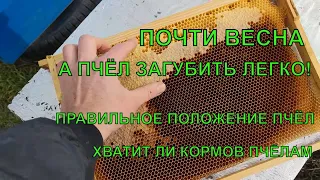 Что бы пчёл не потерять весной какие действия будьте бдительны коллеги☝️🐝🐝🐝