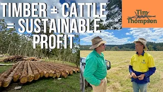 Can You Farm Timber & Cattle? Sustainable Agroforestry Profit!