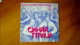 ВИА "Синяя птица" - Клён(vinyl)