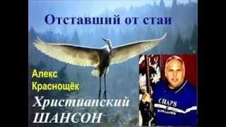 Журавли улетели Христианский ШАНСОН А.Н. Краснощёк Одесса