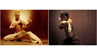 Cyril Raffaelli VS Tony Jaa