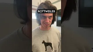 How Dog Breeds React To Robbers PT 7 (solo version)