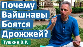 ПОЧЕМУ ВАЙШНАВЫ БОЯТСЯ ДРОЖЖЕЙ? • ВАСИЛИЙ ТУШКИН